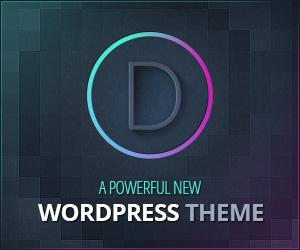 Divi WordPress-Theme deutsch